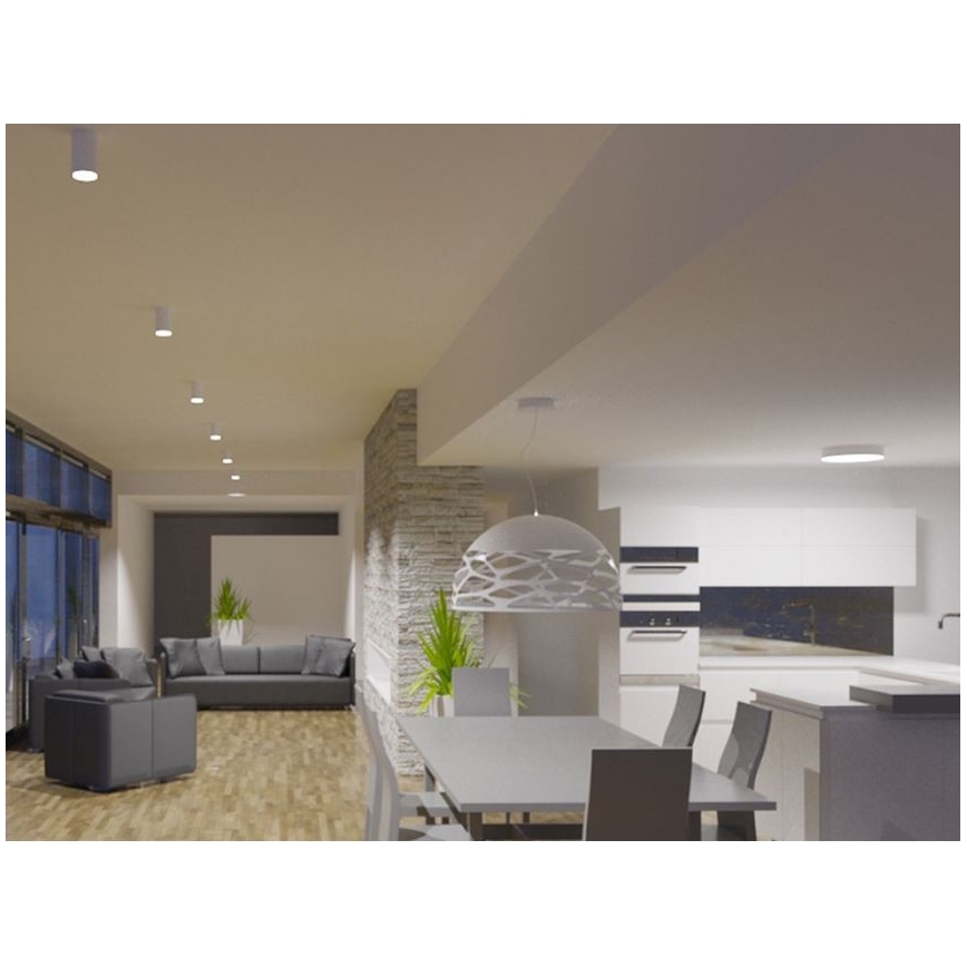 LED2 - LED Stropní svítidlo TUBUS LED/9W/230V bílá