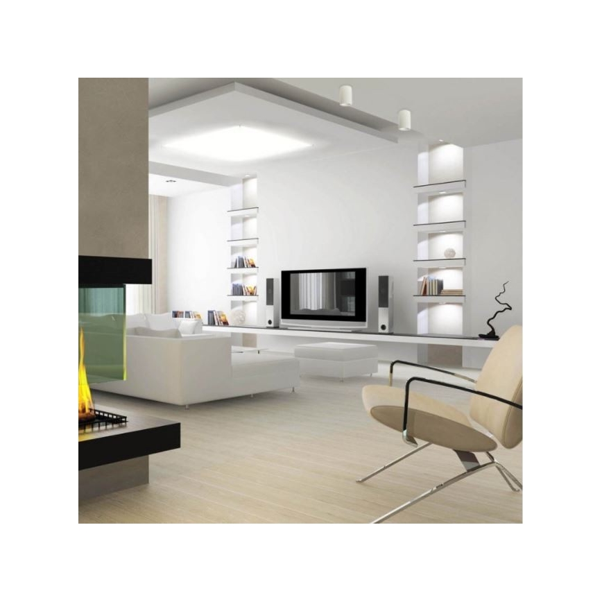 LED2 - LED Stropní svítidlo TUBUS LED/9W/230V bílá