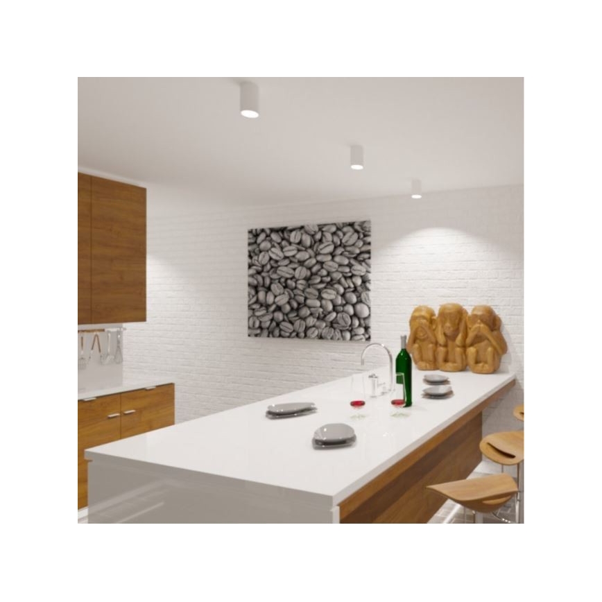 LED2 - LED Stropní svítidlo TUBUS LED/9W/230V bílá