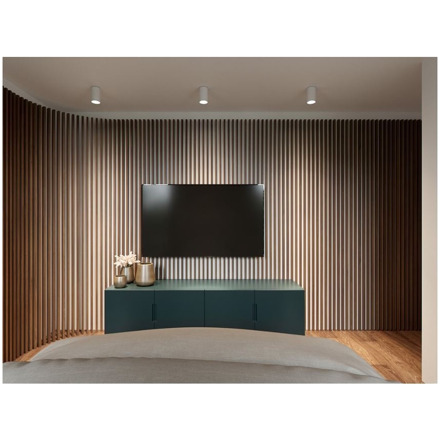 LED2 - LED Stropní svítidlo TUBUS LED/9W/230V bílá
