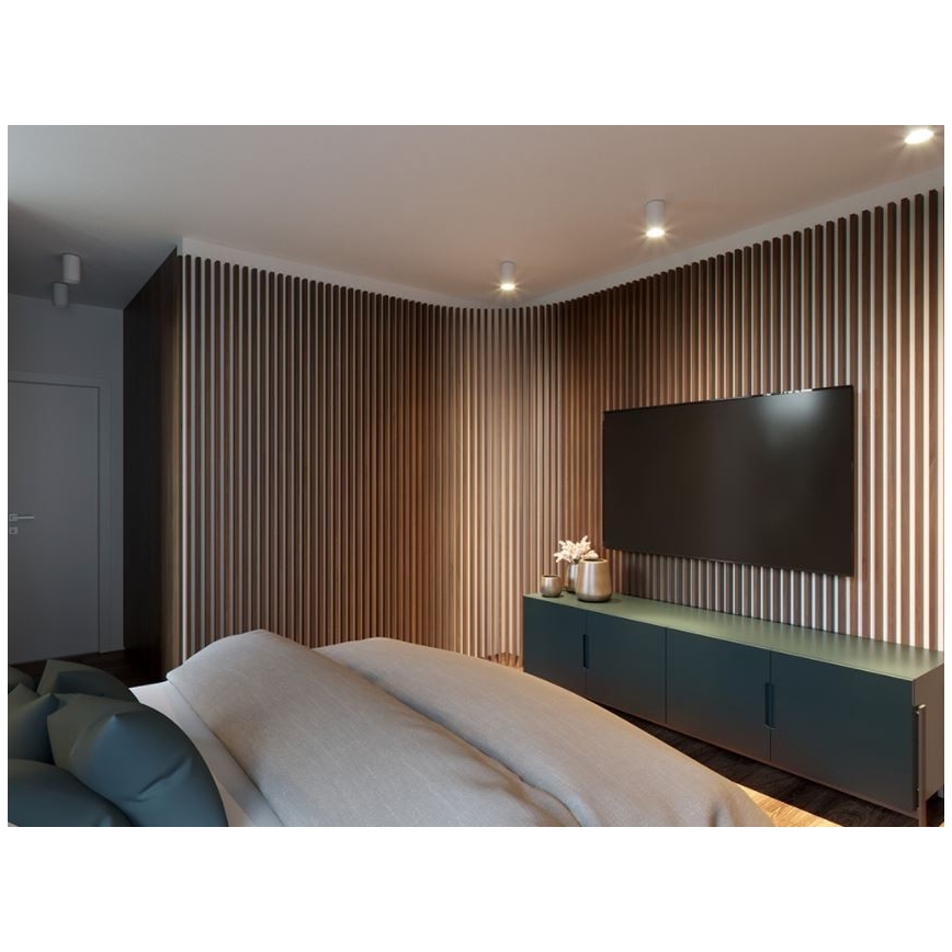 LED2 - LED Stropní svítidlo TUBUS LED/9W/230V bílá
