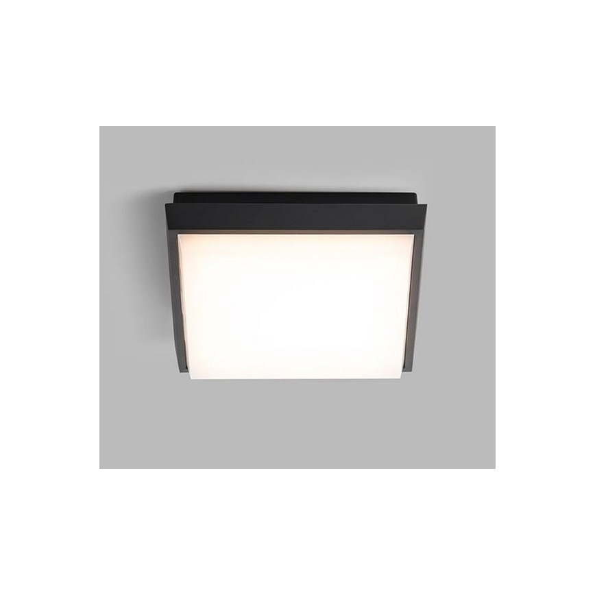 LED2 - LED Venkovní stropní svítidlo QUADO LED/10W/230V antracit IP54