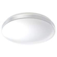 Ledvance - LED Koupelnové stropní svítidlo CEILING ROUND LED/24W/230V 6500K IP44