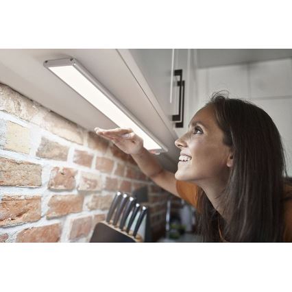Ledvance - LED Podlinkové svítidlo se senzorem LINEAR LED/4W/5V 3000 mAh 3000/4000/6500K