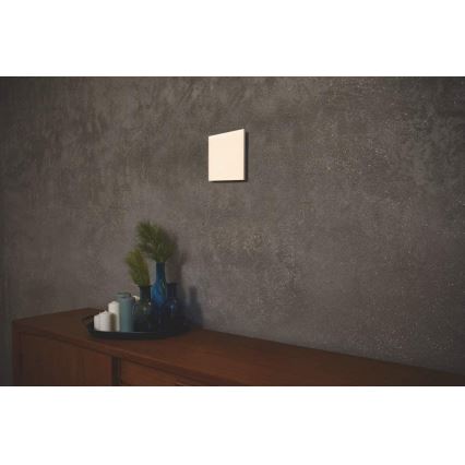 Ledvance - LED Přisazený panel FRAMELESS LED/19W/230V 3000K