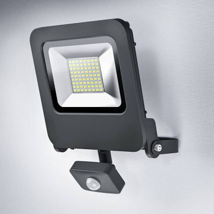 Ledvance - LED Reflektor se senzorem ENDURA LED/50W/230V IP44