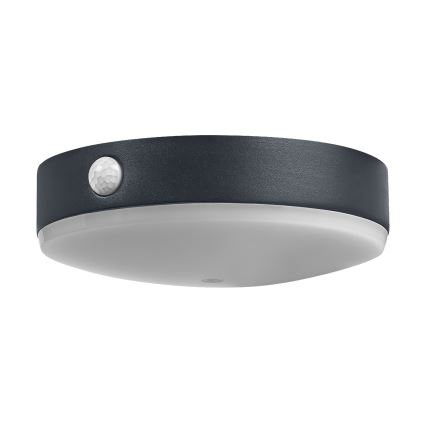 Ledvance - LED Solární nástěnné svítidlo se senzorem ENDURA STYLE LED/6W/3,7V 1420 mAh IP44
