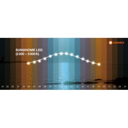 Ledvance - LED Stmívatelný panel SUN@HOME LED/35W/230V 2200-5000K CRI 95 Wi-Fi