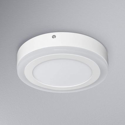 Ledvance - LED Stropní svítidlo ROUND LED/15W/230V pr. 20 cm