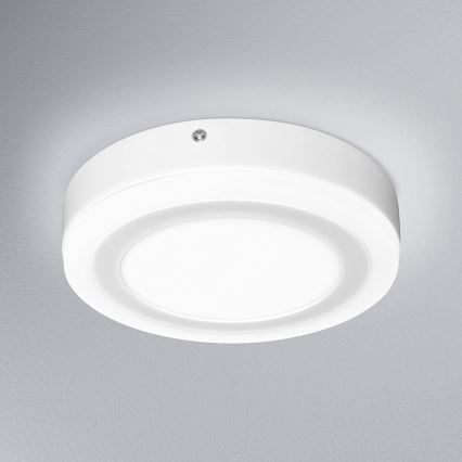 Ledvance - LED Stropní svítidlo ROUND LED/15W/230V pr. 20 cm