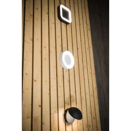 Ledvance - LED Venkovní nástěnné svítidlo ENDURA LED/13W/230V IP44