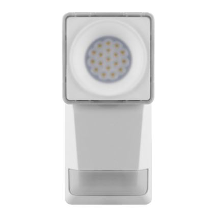 Ledvance - LED Venkovní nástěnné svítidlo se senzorem SPOT LED/8W/230V IP55 bílá