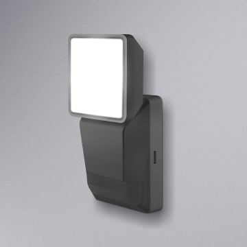 Ledvance - LED Venkovní nástěnné svítidlo se senzorem SPOT LED/8W/230V IP55 černá