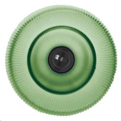 Ledvance - Stolní lampa GRAPE 1xE27/40W/230V zelená