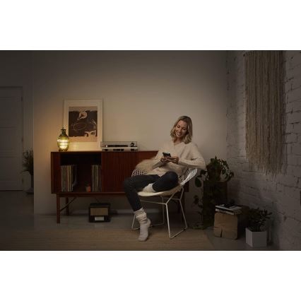 Ledvance - Stolní lampa GRAPE 1xE27/40W/230V zelená
