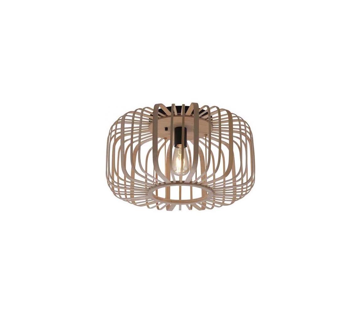 Leuchten Direkt Leuchten Direkt 11413-79 - Přisazený lustr RACOON 1xE27/40W/230V pr. 50 cm W3104