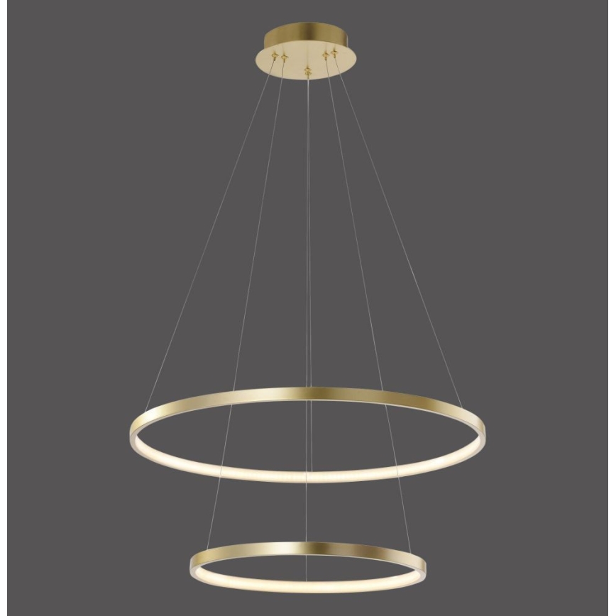 Leuchten Direkt 11525-12 -LED Lustr na lanku CIRCLE 1xLED/18,5W/230V + LED/23,5W