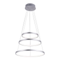 Leuchten Direkt 11526-55 - LED Stmívatelný lustr na lanku CIRCLE LED/13,5W/230V + LED/19,5W + LED/24W