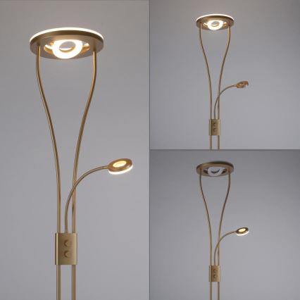 Leuchten Direkt 11778-60 - LED Stmívatelná stojací lampa HELIA LED/16,8W/230V + LED/7,6W zlatá