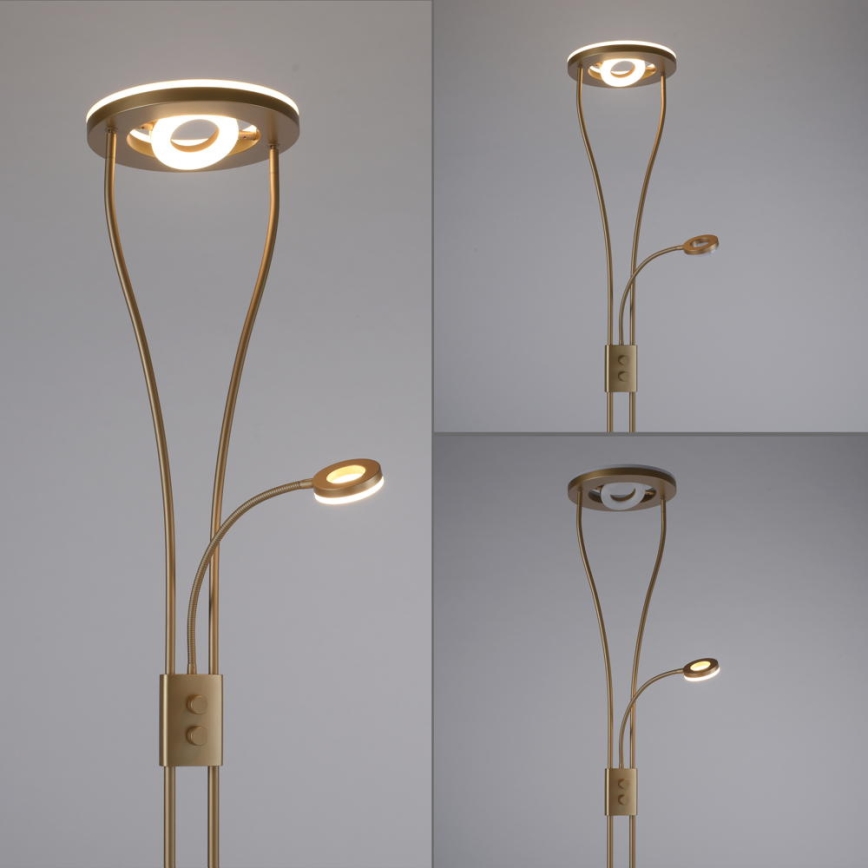Leuchten Direkt 11778-60 - LED Stmívatelná stojací lampa HELIA LED/16,8W/230V + LED/7,6W zlatá