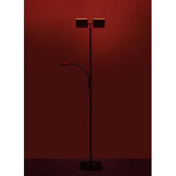 Leuchten Direkt 11925-55 - LED RGB Stmívatelná stojací lampa RUBEN 2xLED/11W/230V+LED/4,8W 2700-5000K + dálkové ovládání