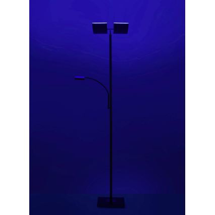 Leuchten Direkt 11925-55 - LED RGB Stmívatelná stojací lampa RUBEN 2xLED/11W/230V+LED/4,8W 2700-5000K + dálkové ovládání