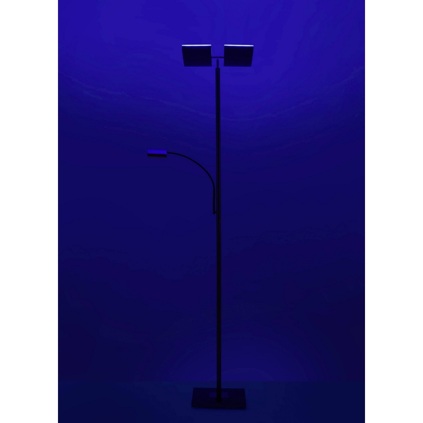 Leuchten Direkt 11925-55 - LED RGB Stmívatelná stojací lampa RUBEN 2xLED/11W/230V+LED/4,8W 2700-5000K + dálkové ovládání