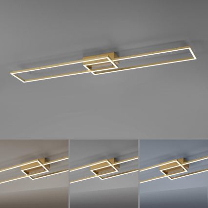 Leuchten Direkt 14019-60- LED Stmívatelný přisazený lustr IVEN 2xLED/20W/230V 2700-5000K zlatá + dálkové ovládání