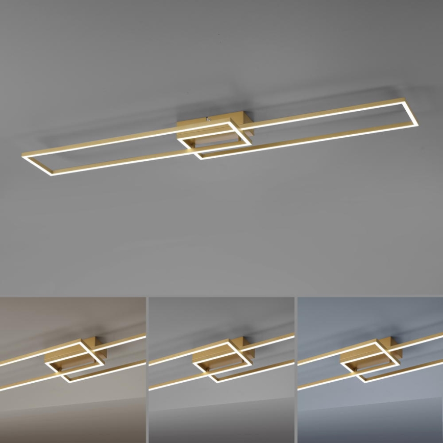 Leuchten Direkt 14019-60- LED Stmívatelný přisazený lustr IVEN 2xLED/20W/230V 2700-5000K zlatá + dálkové ovládání