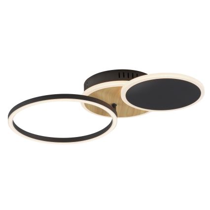 Leuchten Direkt 14116-78 - LED Stropní svítidlo SEVENT LED/25,5W/230V černá/hnědá