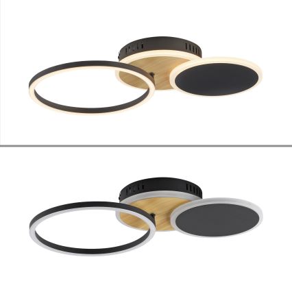 Leuchten Direkt 14116-78 - LED Stropní svítidlo SEVENT LED/25,5W/230V černá/hnědá