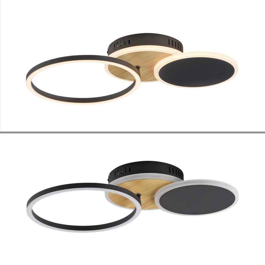 Leuchten Direkt 14116-78 - LED Stropní svítidlo SEVENT LED/25,5W/230V černá/hnědá