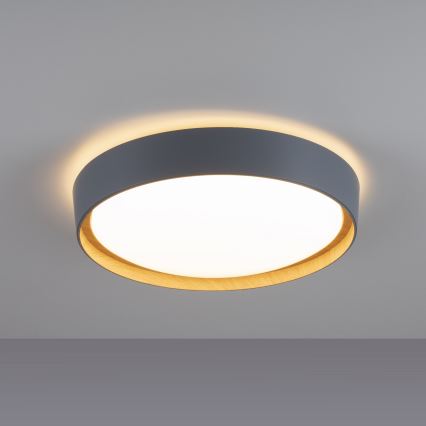 Leuchten Direkt 14347-15 - LED Stmívatelné stropní svítidlo EMILIA LED/28,8W/230V šedá