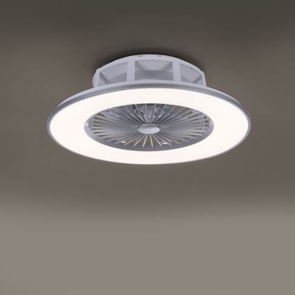 Leuchten Direkt 14646-55 - LED Stmívatelné stropní svítidlo s ventilátorem MICHAEL LED/29W/230V + dálkové ovládání