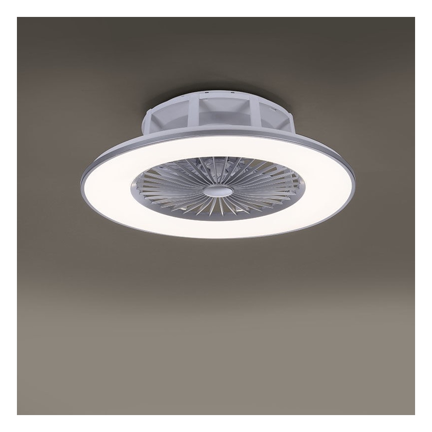 Leuchten Direkt 14646-55 - LED Stmívatelné stropní svítidlo s ventilátorem MICHAEL LED/29W/230V + dálkové ovládání
