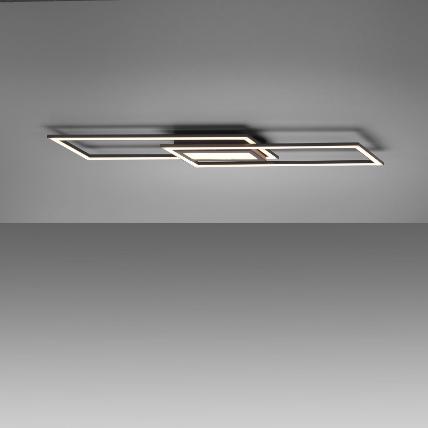 Leuchten Direkt 14694-18 - LED Stropní svítidlo ASMIN LED/48W/230V