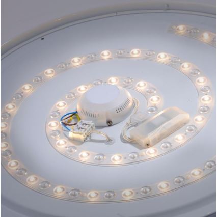 Leuchten Direkt 14822-17 - LED Koupelnové stropní svítidlo se senzorem LAVINIA LED/40W/230V IP44