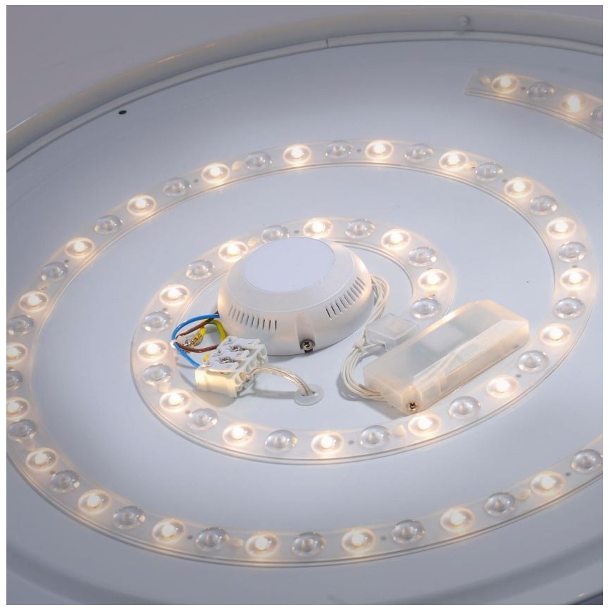 Leuchten Direkt 14822-17 - LED Koupelnové stropní svítidlo se senzorem LAVINIA LED/40W/230V IP44