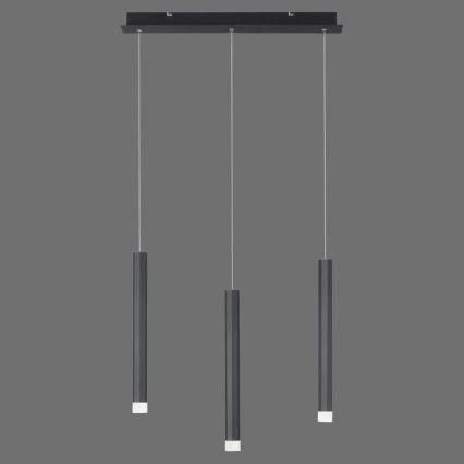 Leuchten Direkt 15203-18 - LED Lustr na lanku 3xLED/4,8W/230V černá