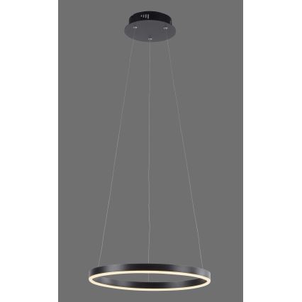 Leuchten Direkt 15393-13 - LED Stmívatelný lustr na lanku RITUS LED/23,5W/230V černá
