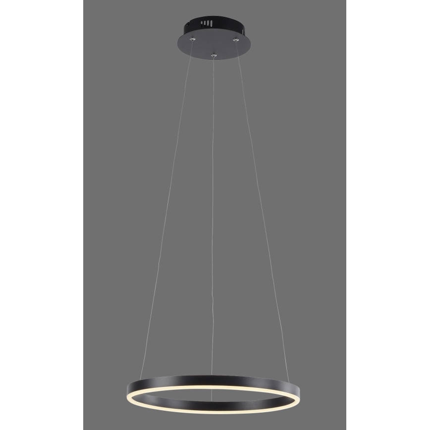 Leuchten Direkt 15393-13 - LED Stmívatelný lustr na lanku RITUS LED/23,5W/230V černá