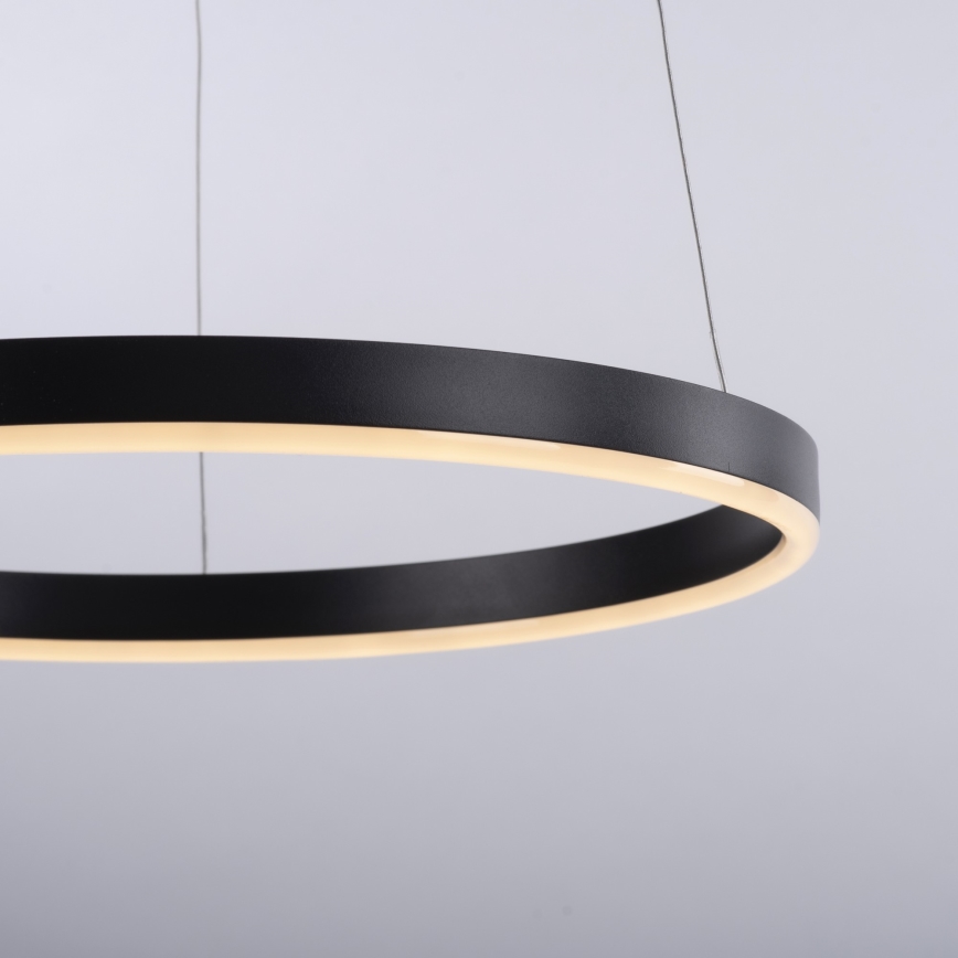 Leuchten Direkt 15393-13 - LED Stmívatelný lustr na lanku RITUS LED/23,5W/230V černá