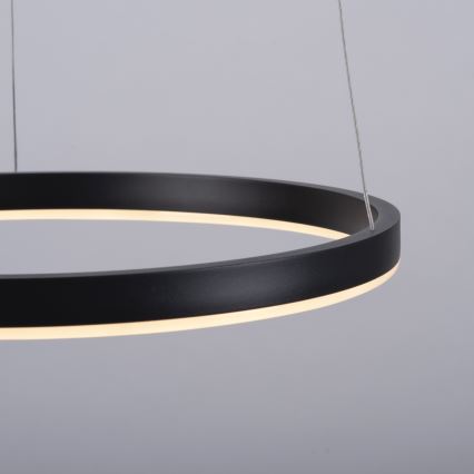 Leuchten Direkt 15393-13 - LED Stmívatelný lustr na lanku RITUS LED/23,5W/230V černá