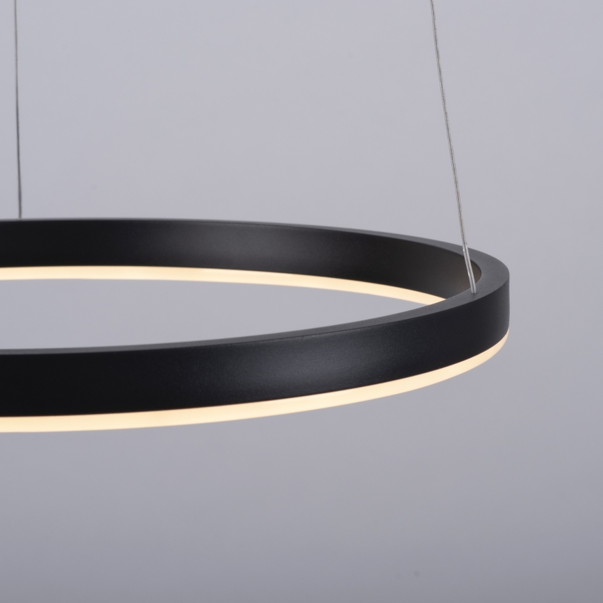 Leuchten Direkt 15393-13 - LED Stmívatelný lustr na lanku RITUS LED/23,5W/230V černá