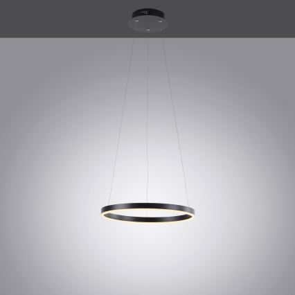 Leuchten Direkt 15393-13 - LED Stmívatelný lustr na lanku RITUS LED/20W/230V černá