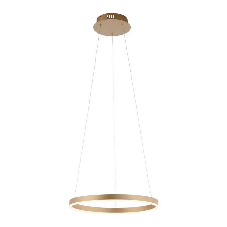 Leuchten Direkt 15393-60 - LED Stmívatelný lustr na lanku RITUS LED/20W/230V
