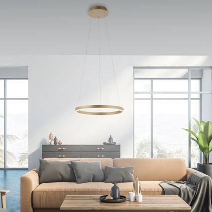 Leuchten Direkt 15393-60 - LED Stmívatelný lustr na lanku RITUS LED/20W/230V