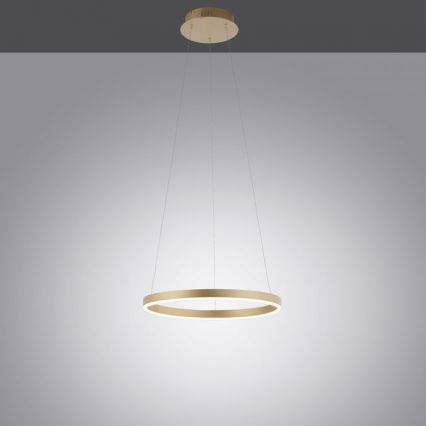 Leuchten Direkt 15393-60 - LED Stmívatelný lustr na lanku RITUS LED/20W/230V