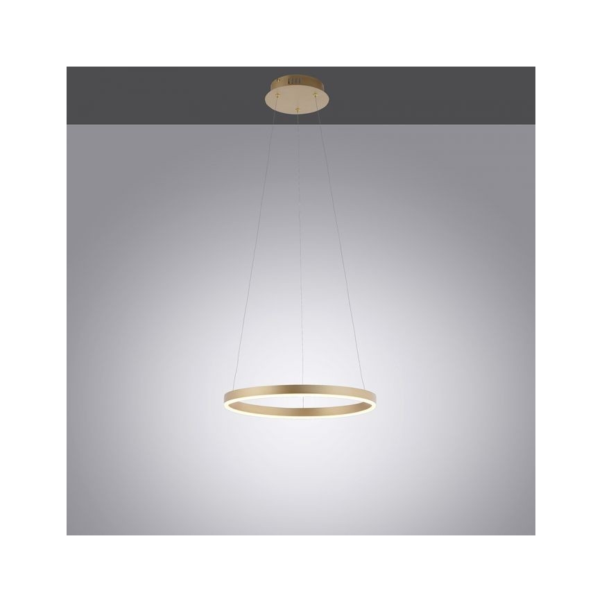 Leuchten Direkt 15393-60 - LED Stmívatelný lustr na lanku RITUS LED/20W/230V