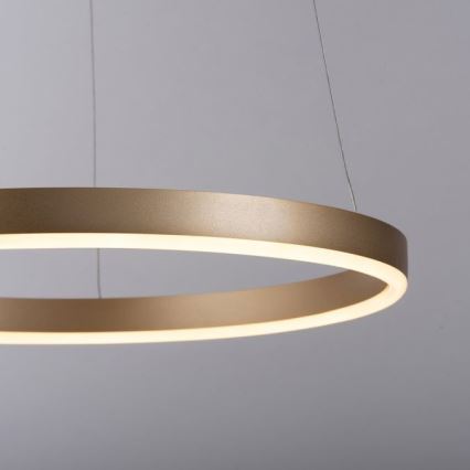 Leuchten Direkt 15393-60 - LED Stmívatelný lustr na lanku RITUS LED/20W/230V